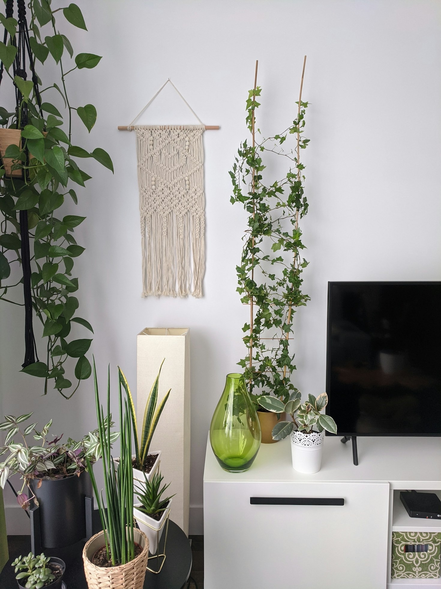 Como Criar um Jardim Interno em Pouca Luz