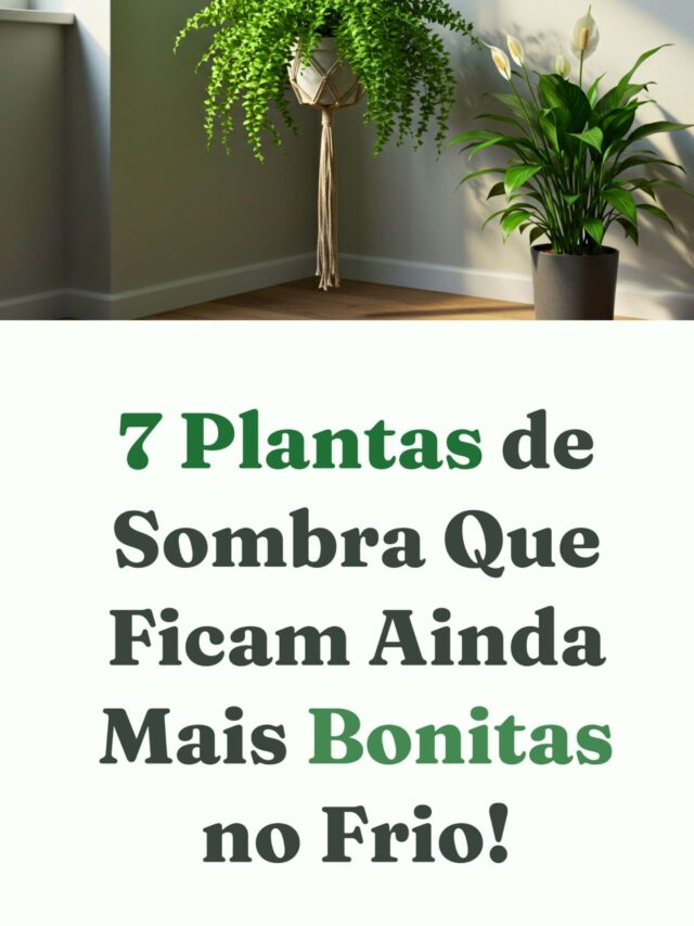 plantas que gostam de frio