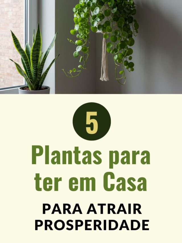 plantas para atrair prosperidade