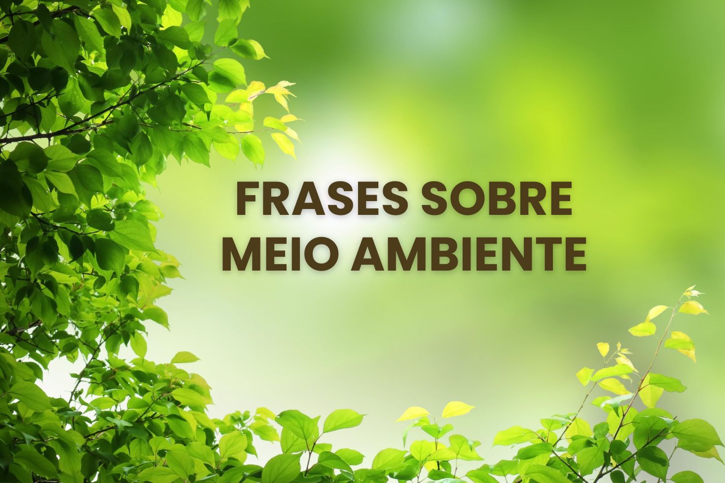 50 Melhores Frases sobre Meio Ambiente e Natureza!