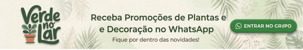 Grupo de Ofertas Plantas e decoração