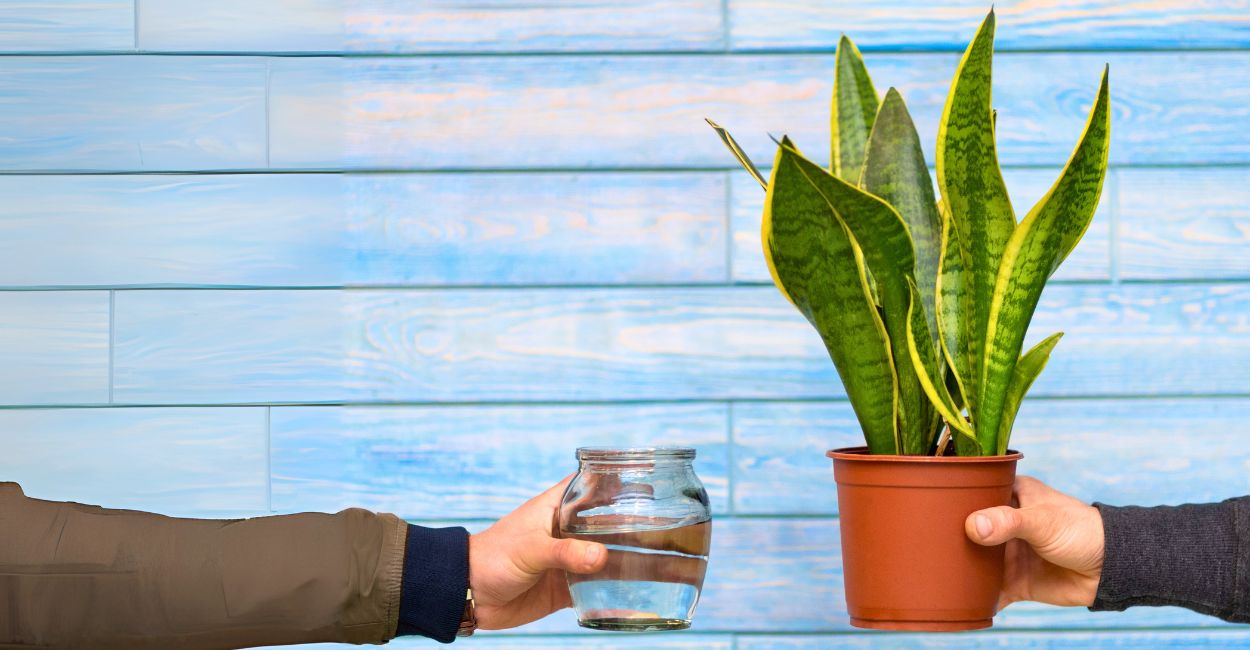 espada de santa barbara