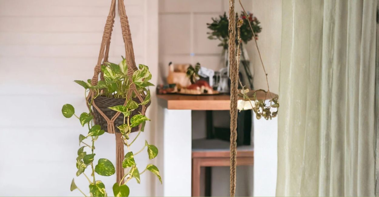 suporte para plantas na parede