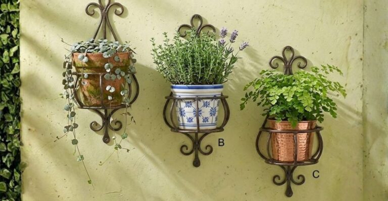 suporte para plantas na parede