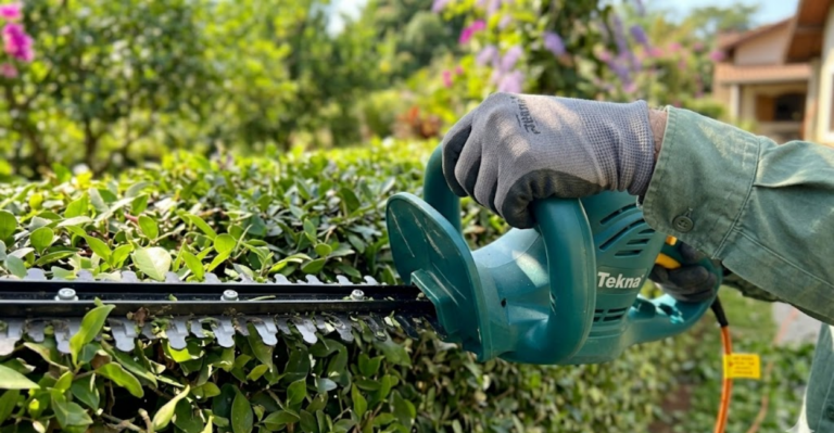 podador de cerca viva