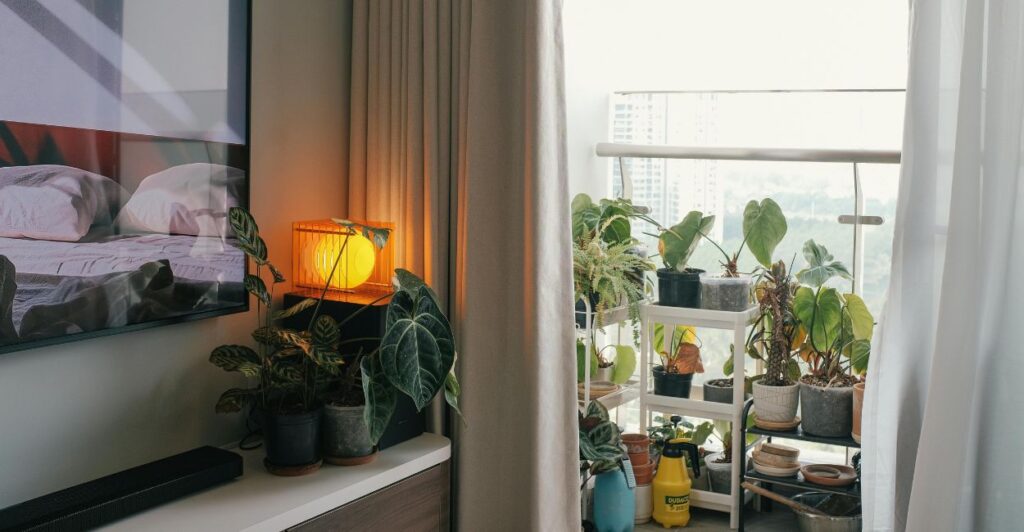 suportes para plantas